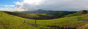 Van Reenen Pass Panorama